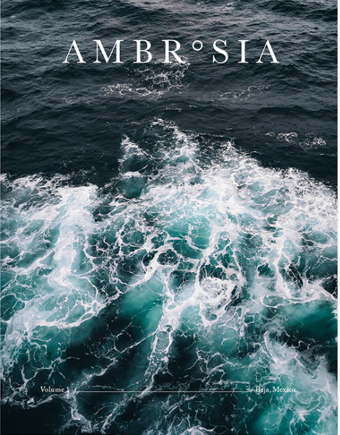 Ambrosia Magazine - Volume 1